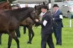 Cappamore New 87