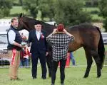 Cappamore Show 8