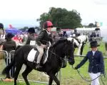 Cappamore Show 46