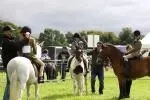 Cappamore Show 30