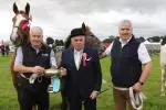 Cappamore New 15